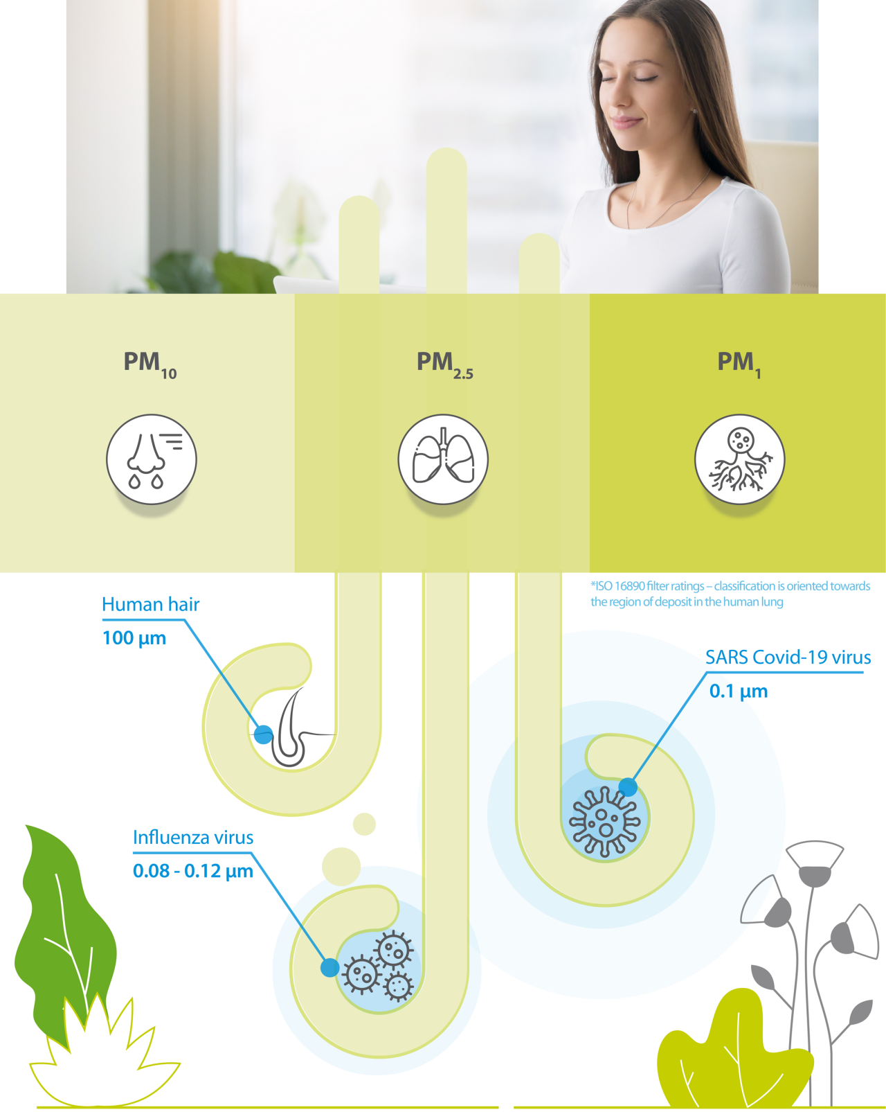 Particles and areas of deposit in the human body